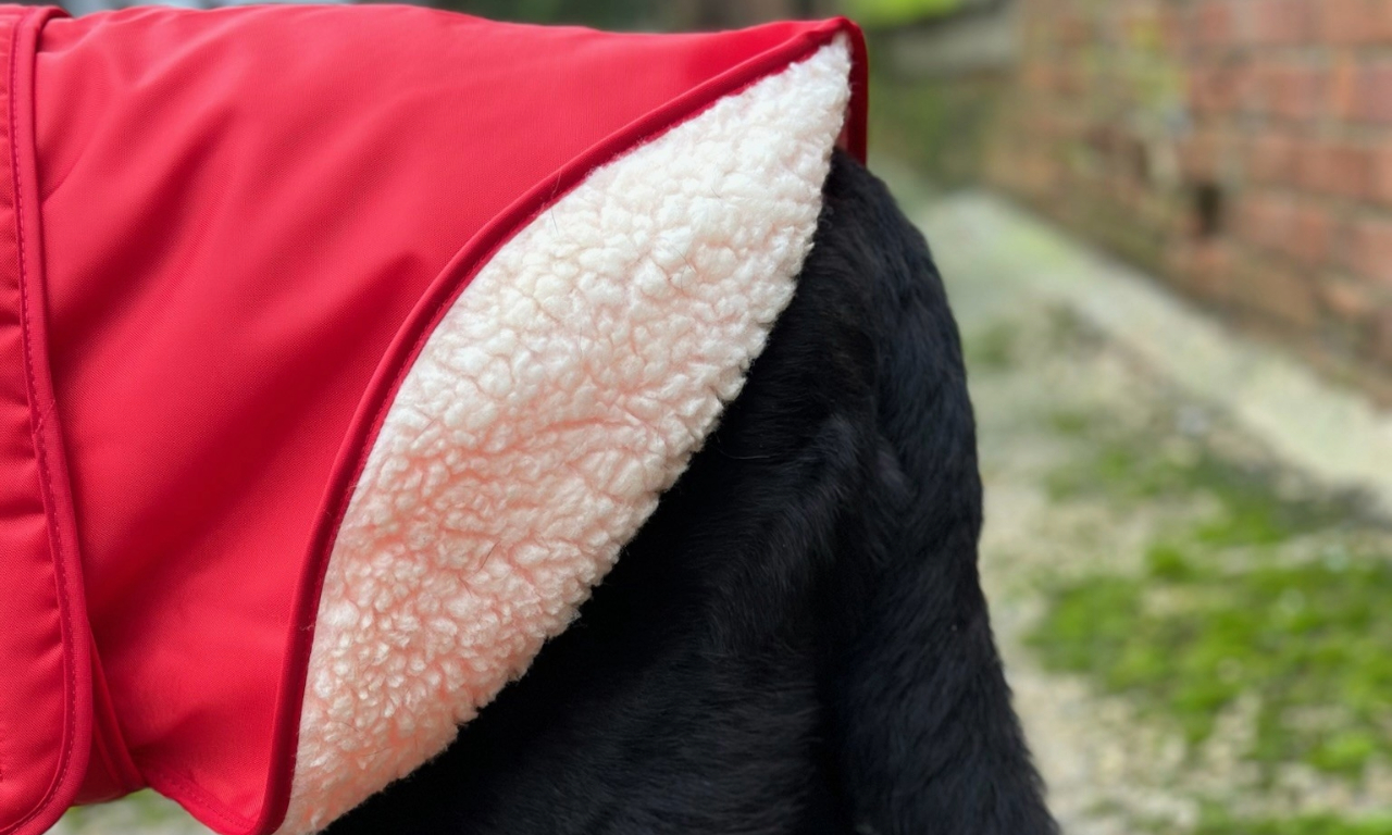 Waterproof & Warm fur-lined Dog Coat